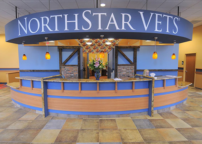 MEP Project, Northstar Vets